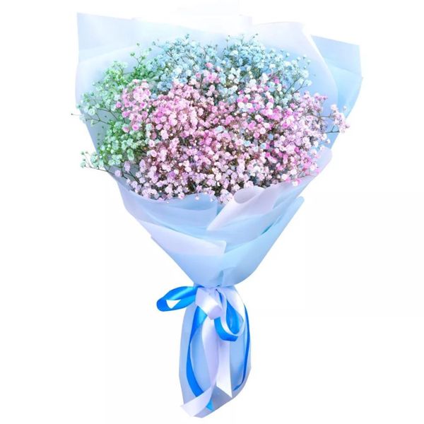 Bouquet of gypsophila "Colored cloud"