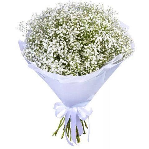 Bouquet of gypsophila "Ice cream"