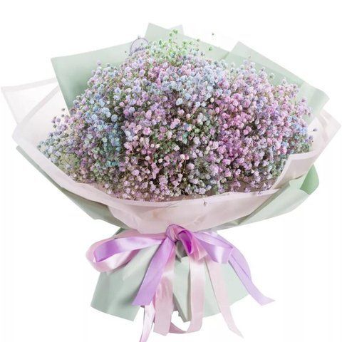 Bouquet of gypsophila "Magic"