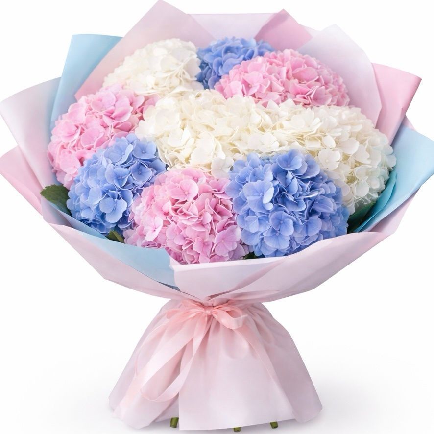 Hydrangeas - BUKET is an online flower and gift delivery shop in