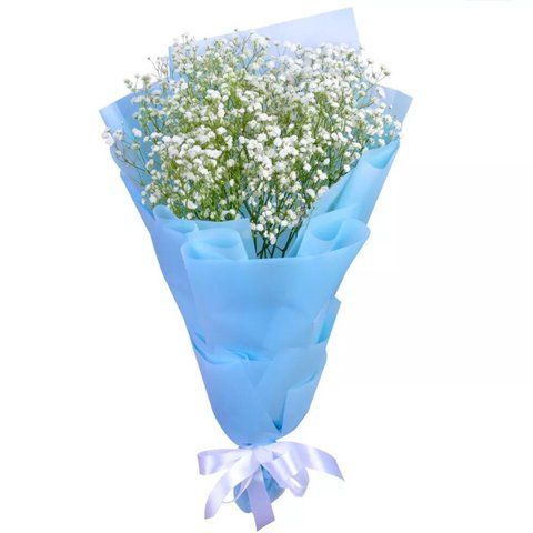Bouquet of gypsophila "Feather"
