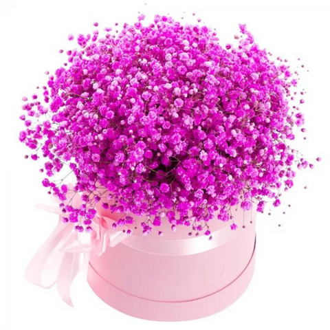Box with gypsophila "Raspberry"