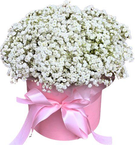 Box with gypsophila "Arctic"