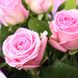 9 рожевих троянд