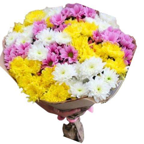 15 chrysanthemums