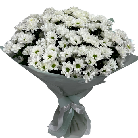 Bouquet of 15 branches of chrysanthemums