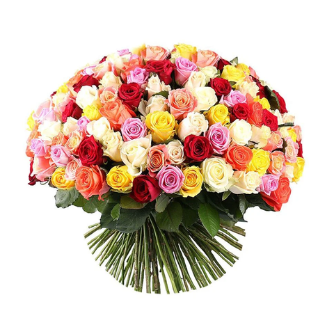 101 roses of different colors