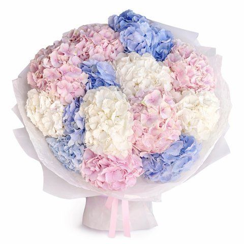Bouquet of hydrangeas "Cloud of Love"