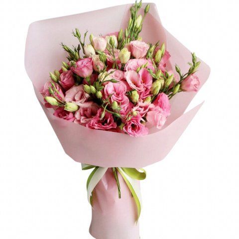 Tender eustoma