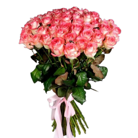 51 Rose Jumilia