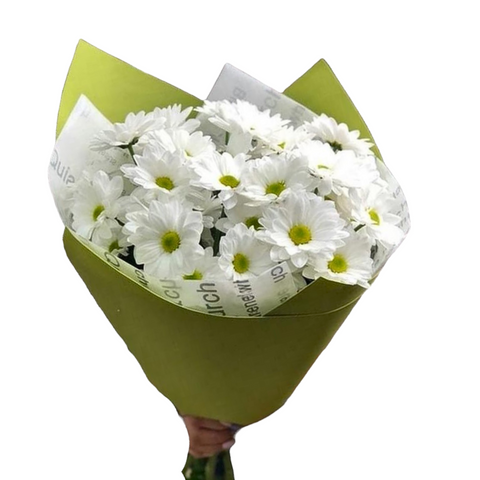 5 white chrysanthemums